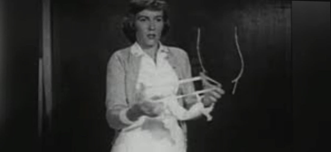 What Did Women Use for Periods in the 1800s Before Pads and Tampons?