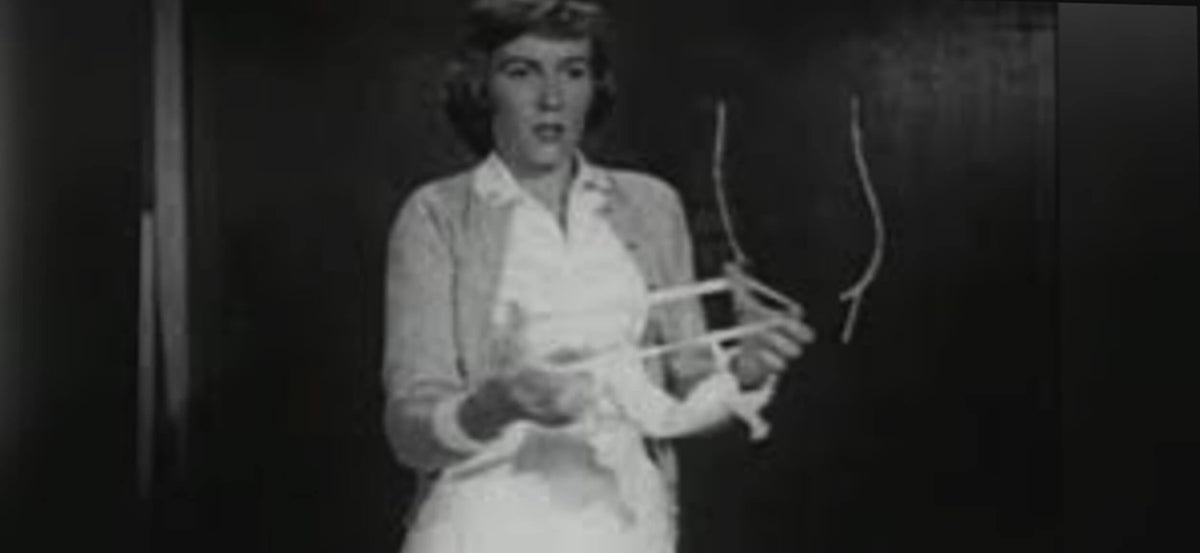 What Did Women Use for Periods in the 1800s Before Pads and Tampons?