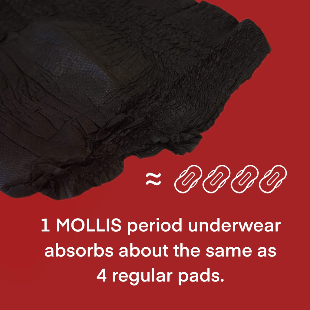 MOLLIS Women's Luxurious Disposable Period Underwear, S/M, 8 Count